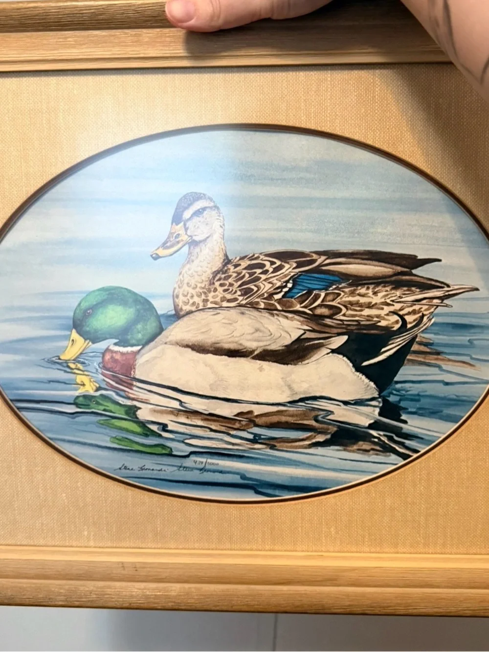 Mallard Duck Wall Art Print in Blue and Green